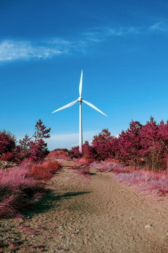 A wind turbine in an infrared forest
