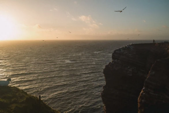 Golden Sunset Over Sea Cliffs