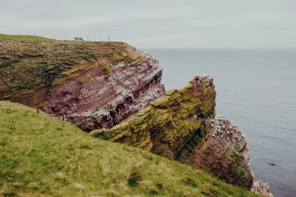 Rolling Green Cliffs Overlooking the Sea