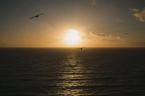 Sunset Flight Over the North Sea