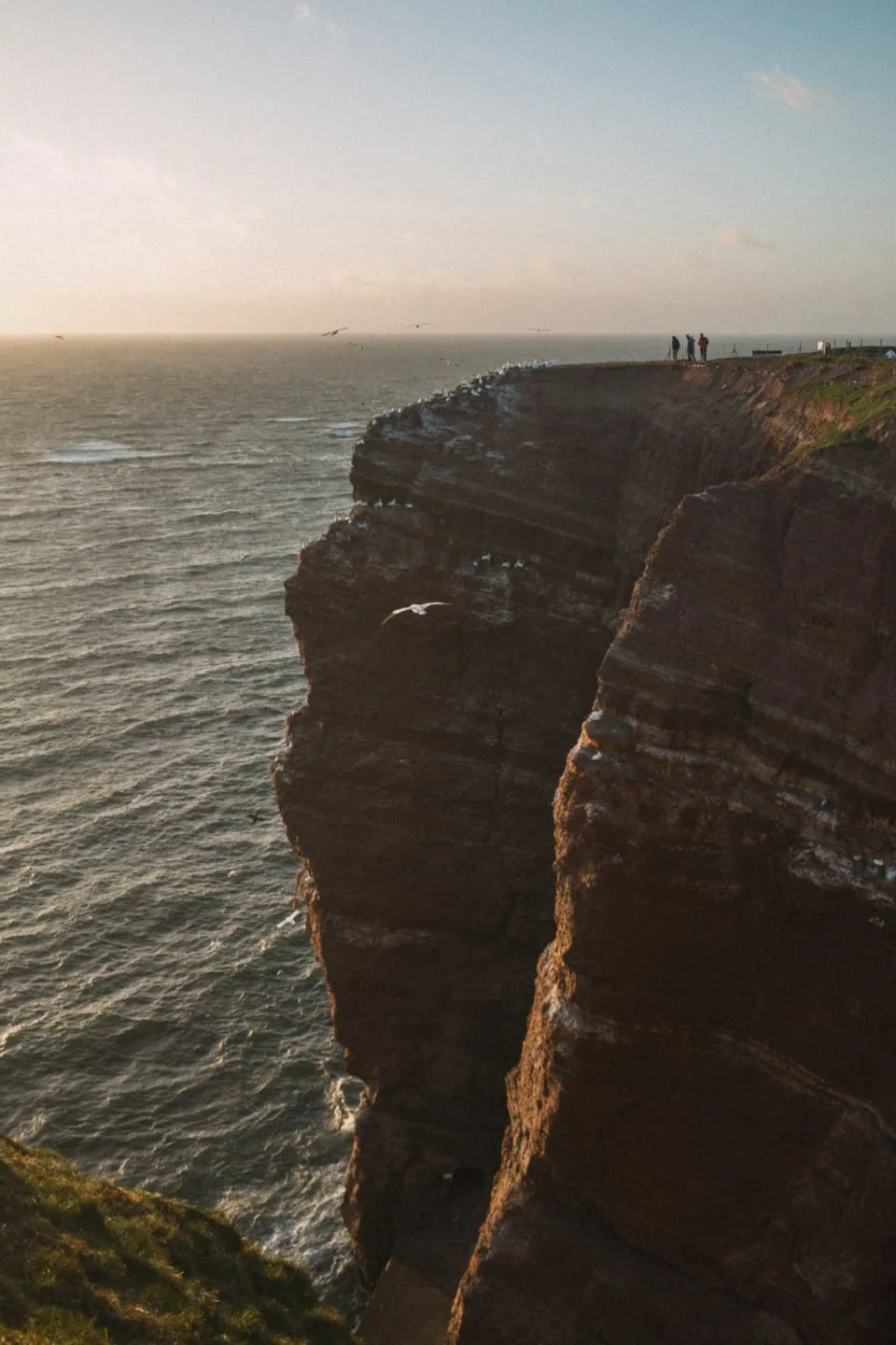 Golden Hour on Helgoland Cliffs