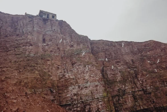Birds and Ruins on Helgoland’s Cliffs
