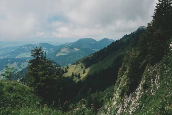 Alpine Meadows and Forested Peaks