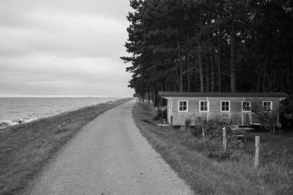 Coastal Path with Seaside Cabin and Pine Forest in Monochrome