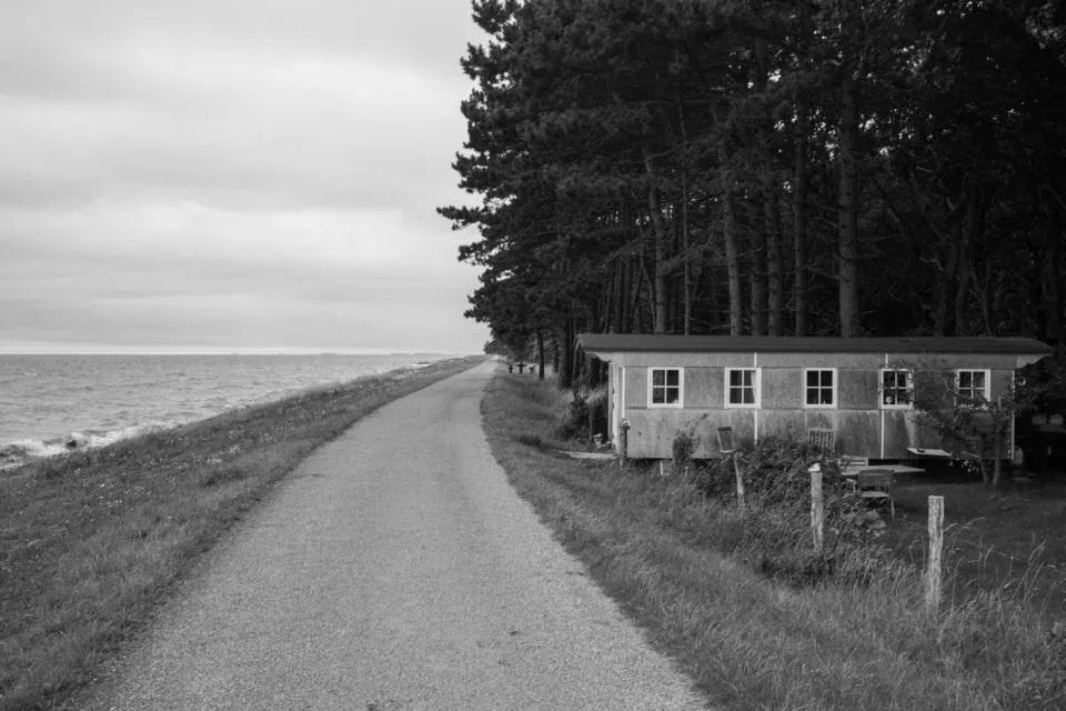 Coastal Path with Seaside Cabin and Pine Forest in Monochrome