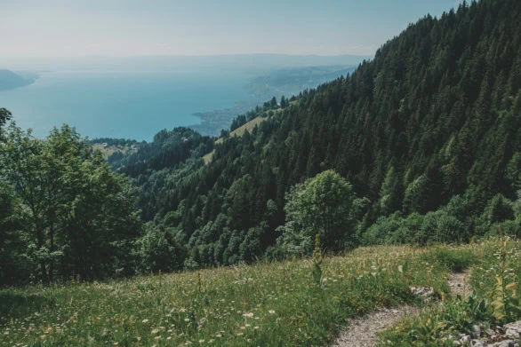 Scenic Alpine View Overlooking Lake Geneva from the Swiss Alps