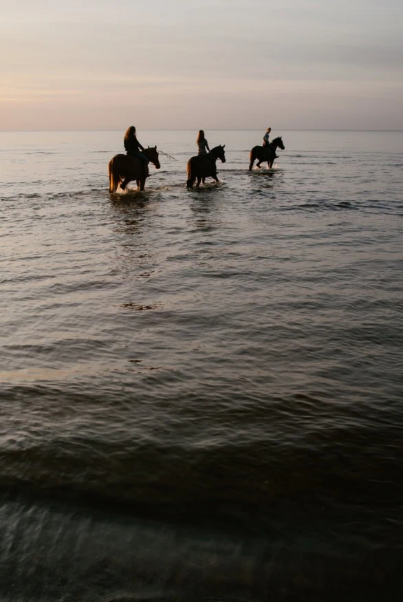 Riders on horseback enjoying a sunset ride in shallow water
