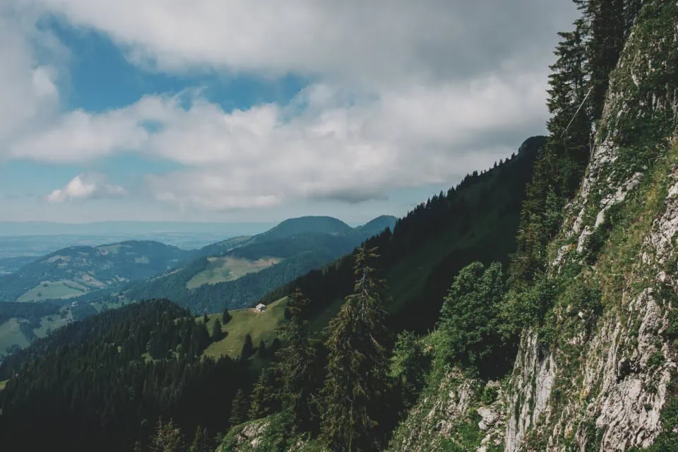 Mountain Peaks with Coniferous Forests and Alpine Meadows