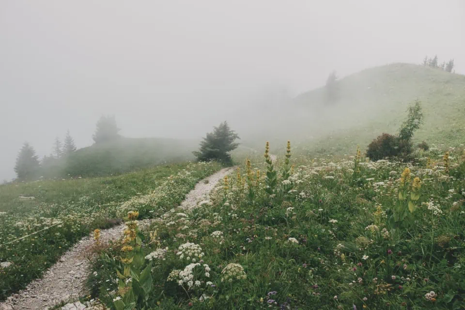 Mountain trails in dense clouds