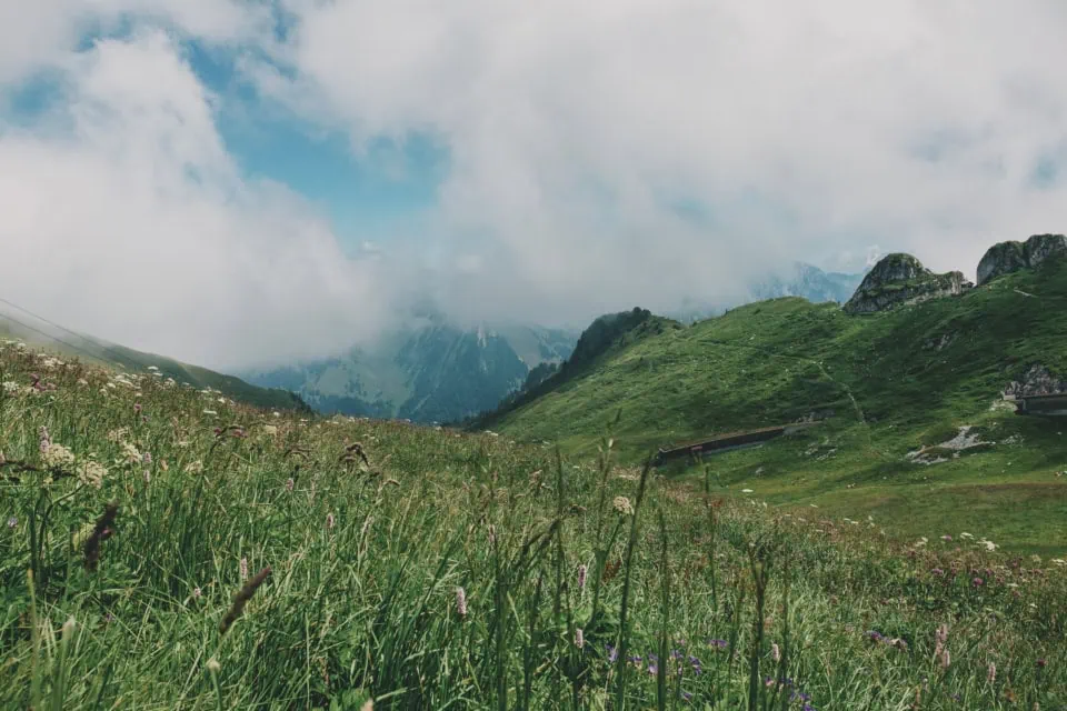 Rochers de Naye Mountaintop