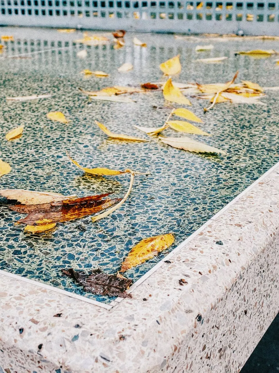 Autumn Leaves on Mosaic Surface