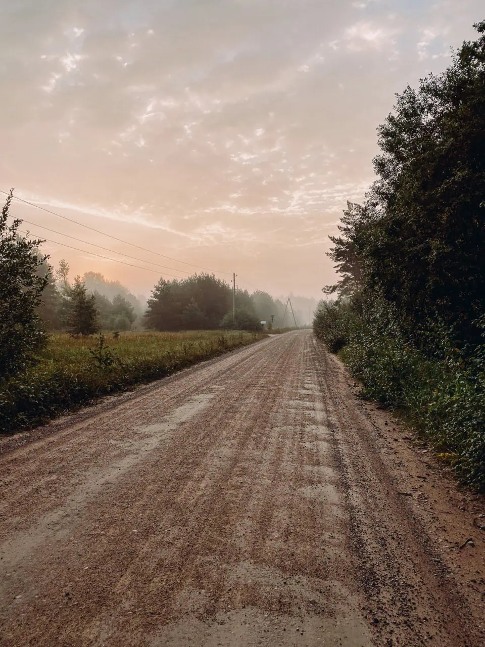 Country Road at Sunrise