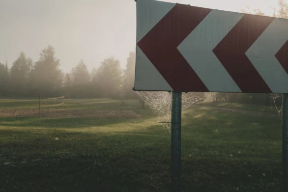 Spiderwebs on Road Sign in Morning Fog