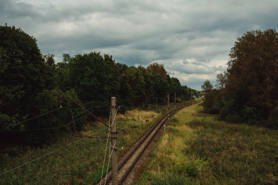 Railway Through the Trees
