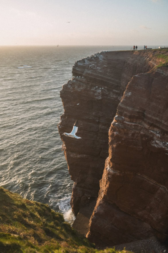 Cliffs of Helgoland