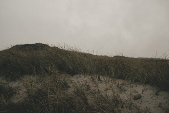 Moody coastal sand dunes with grass under overcast sky