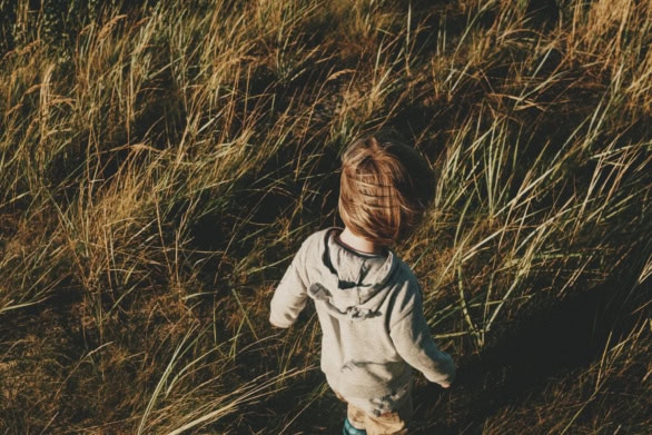 Child walking through tall grass in warm evening light