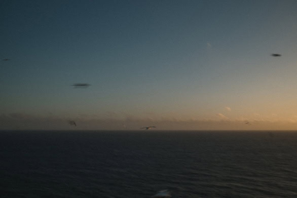 Blurred seascape at dusk with birds over the horizon