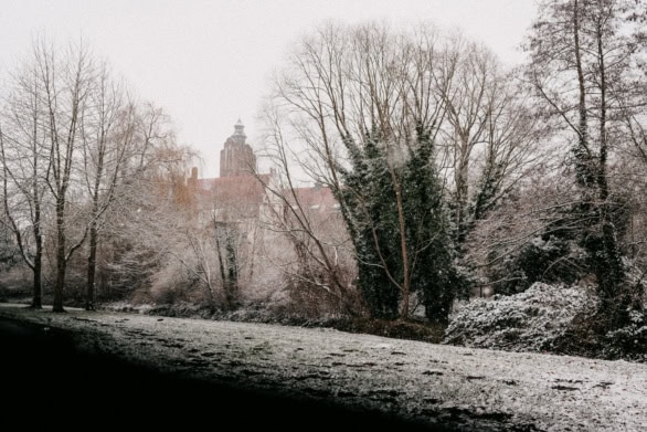 Winter park landscape with historic building behind bare trees